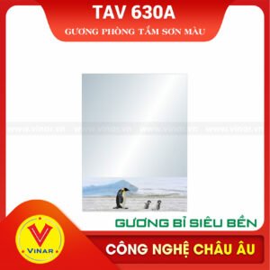 Gương Bỉ TAV 630A (45x60)